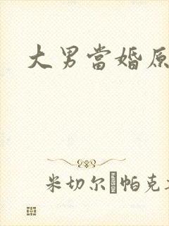 大男当婚原著