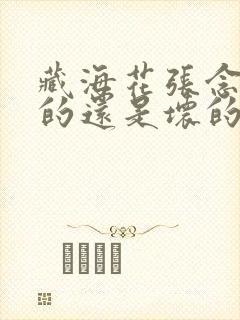 藏海花张念是好的还是坏的