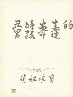 丑时出生的属猴男孩命运