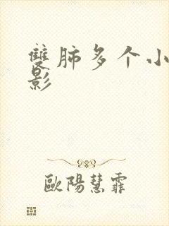 双肺多个小结节影