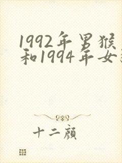 1992年男猴和1994年女狗婚配如何封面