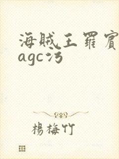 海贼王罗宾本子agc污