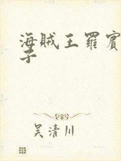 海贼王罗宾h本子