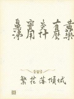 鼻窦炎有黄浓鼻涕用什么药