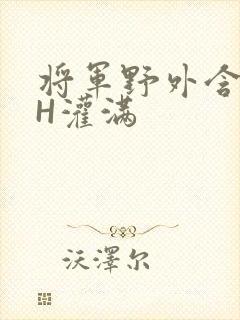 将军野外含公主H灌满