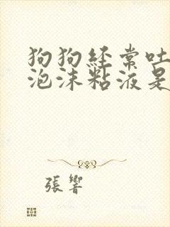 狗狗经常吐白色泡沫粘液是什么原因