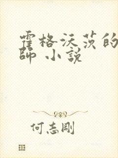 霍格沃茨的灰巫师 小说