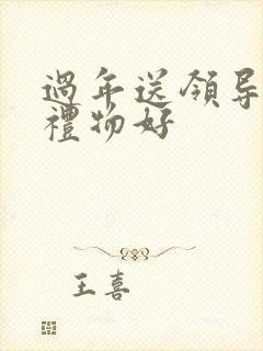 过年送领导什么礼物好封面