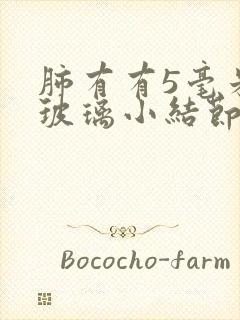 肺有有5毫米磨玻璃小结节封面