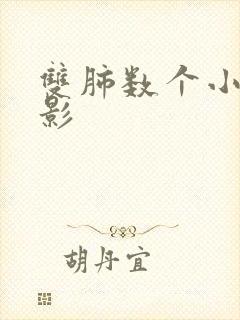 双肺数个小结节影