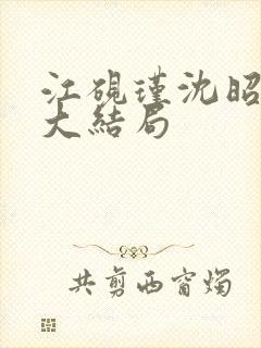 江砚瑾沈昭小说大结局封面