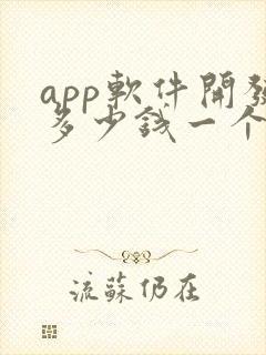 app软件开发多少钱一个月