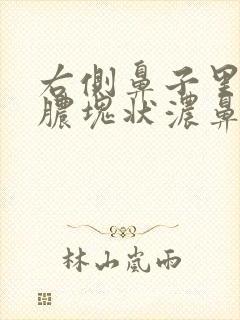 右侧鼻子里有黄脓块状浓鼻涕