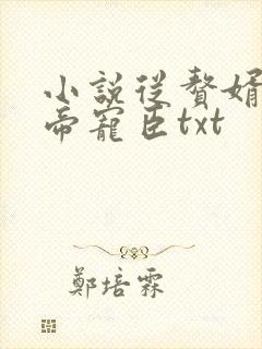 小说从赘婿到女帝宠臣txt