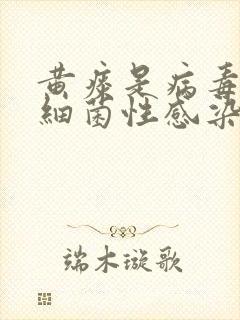 黄痰是病毒还是细菌性感染导致封面