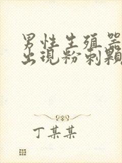 男性生殖器根部出现粉刺颗粒