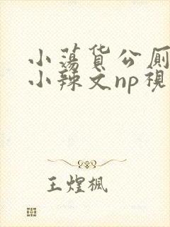 小荡货公厕h文小辣文np视频