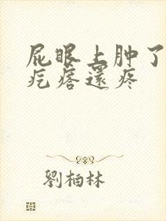 屁眼上肿了个肉疙瘩还疼