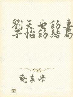 刘天也的妻子赵子怡的结局