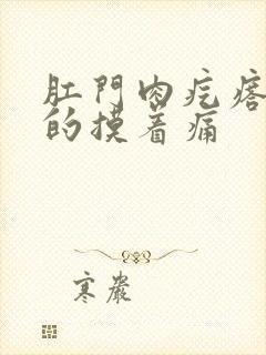 肛门肉疙瘩硬硬的摸着痛