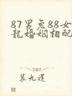 87男兔88女龙婚姻相配吗封面