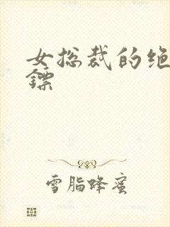 女总裁的绝世保镖