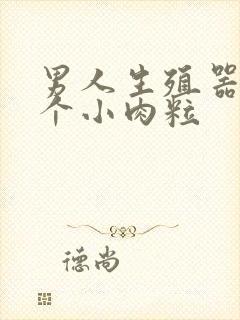 男人生殖器里有个小肉粒