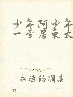 少年阿少年宾第一章房东太太封面