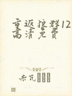 重返狼群12集高清免费