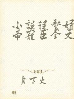 小说从赘婿到女帝宠臣全文