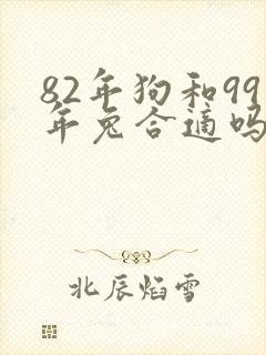 82年狗和99年兔合适吗