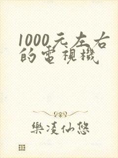 1000元左右的电视机