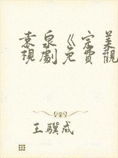 袁泉《完美》电视剧免费观看封面