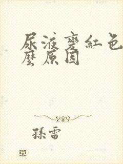 尿液变红色是什么原因