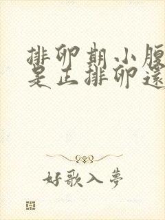 排卵期小腹坠疼是正排卵还是已经排了封面