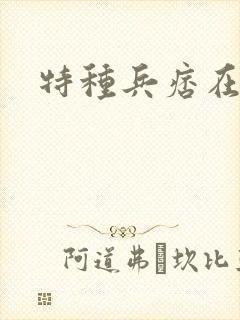 特种兵痞在都市