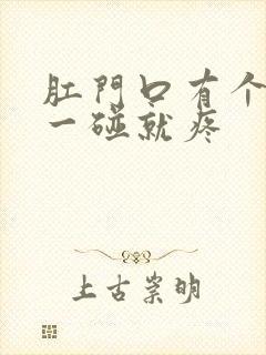 肛门口有个肉球一碰就疼封面