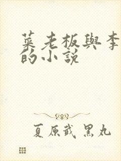 菜老板与李芷珊的小说