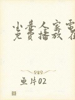 小巷人家电视剧免费播放 在线