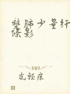 双肺少量纤维索条影