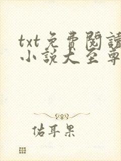 txt免费阅读小说大至尊