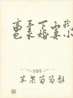 高手下山我的绝色未婚妻小说