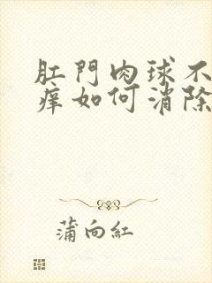 肛门肉球不痛不痒如何消除封面