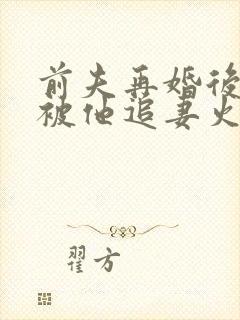 前夫再婚后,我被他追妻火葬场了