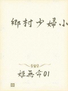 乡村少妇小说