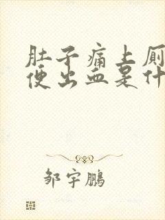 肚子痛上厕所大便出血是什么原因