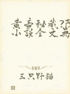 黄帝秘藏?陈启小说全文无删减