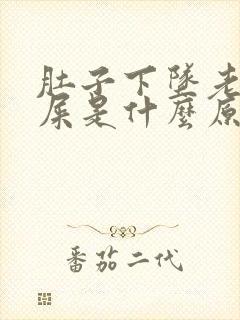 肚子下坠老想拉屎是什么原因