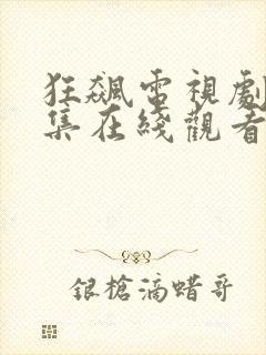 狂飙电视剧40集在线观看免费高封面