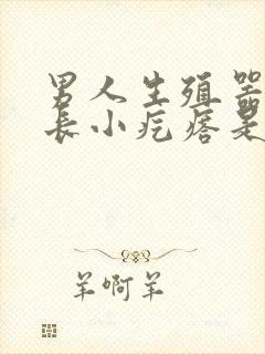 男人生殖器周围长小疙瘩是怎么回事封面